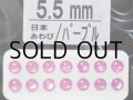あわび本舗 あわび目玉 5.5mm：日本あわび/パープル【ネコポス配送可】