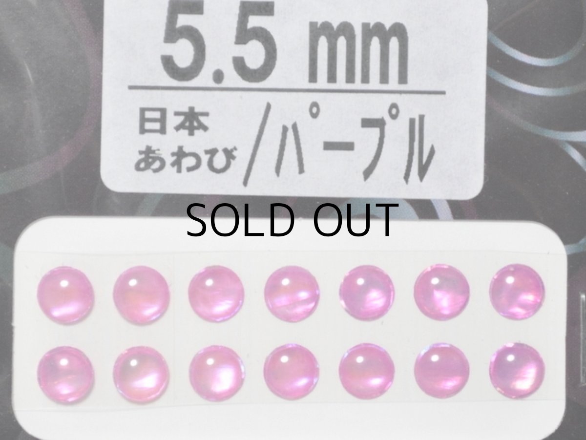 画像1: あわび本舗 あわび目玉 5.5mm：日本あわび/パープル【ネコポス配送可】 (1)