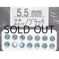 あわび本舗 あわび目玉 5.5mm：日本あわび/ブラック【ネコポス配送可】