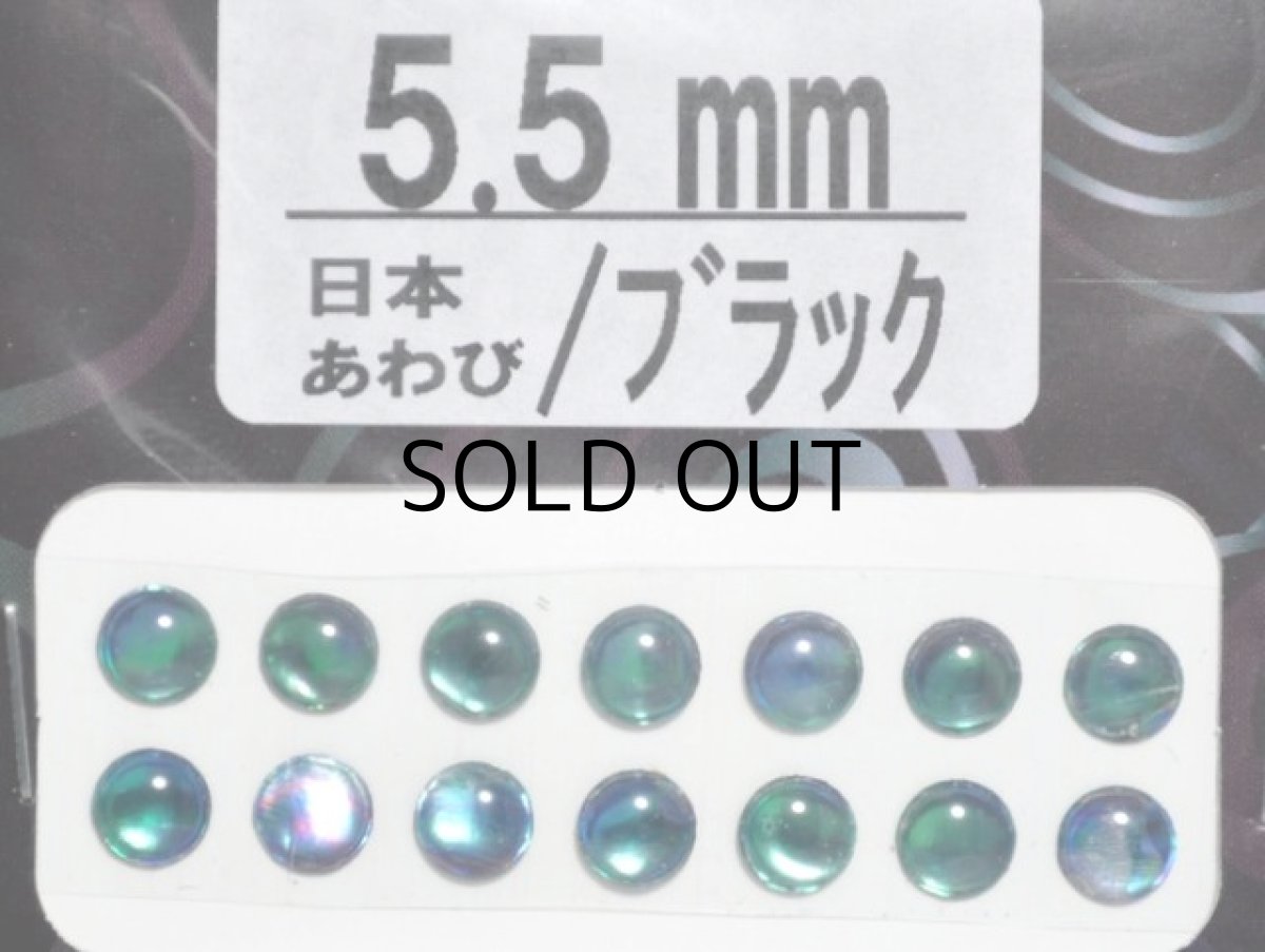 画像1: あわび本舗 あわび目玉 5.5mm：日本あわび/ブラック【ネコポス配送可】 (1)