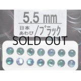 あわび本舗 あわび目玉 5.5mm：日本あわび/ブラック【ネコポス配送可】