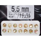 あわび本舗 あわび目玉 5.5mm：ニュージーランド/ナチュラル【ネコポス配送可】