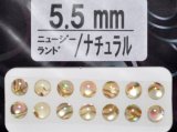 あわび本舗 あわび目玉 5.5mm：ニュージーランド/ナチュラル【ネコポス配送可】