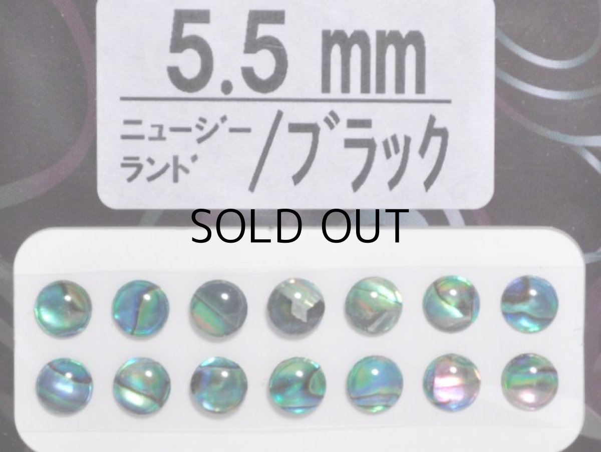 画像1: あわび本舗 あわび目玉 5.5mm：ニュージーランド/ブラック【ネコポス配送可】 (1)