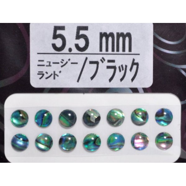 画像1: あわび本舗 あわび目玉 5.5mm：ニュージーランド/ブラック【ネコポス配送可】
