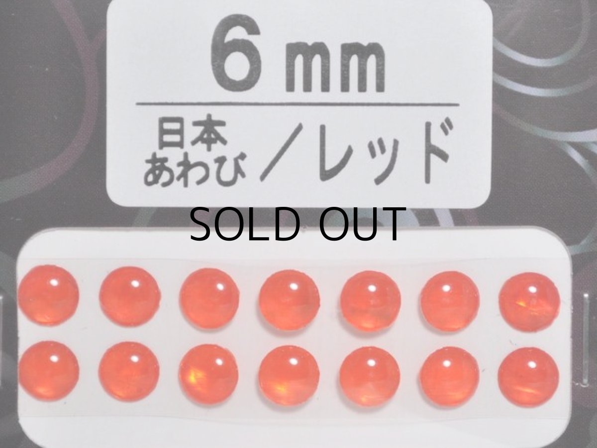 画像1: あわび本舗 あわび目玉 6mm：日本あわび/レッド【ネコポス配送可】 (1)