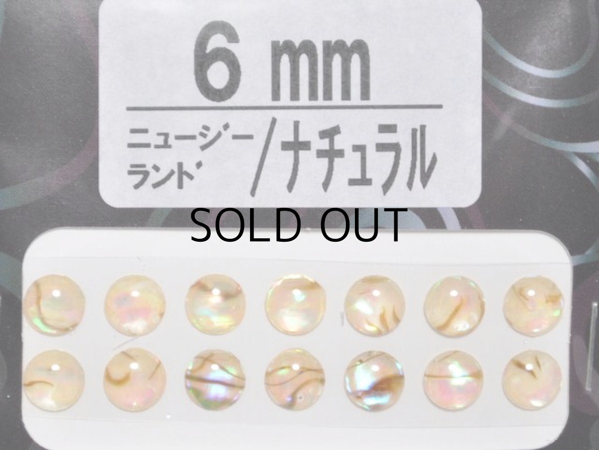 画像1: あわび本舗 あわび目玉 6mm：ニュージーランド/ナチュラル【ネコポス配送可】 (1)