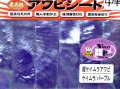 あわび本舗 最高級アワビシート中判：超ケイムラアワビ ケイムラ/パープル【ネコポス配送可】