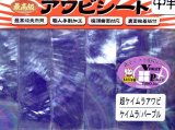 あわび本舗 最高級アワビシート中判：超ケイムラアワビ ケイムラ/パープル【ネコポス配送可】