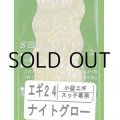 あわび本舗 アワビシート小型エギ・スッテ専用：エギ24 ナイトグロー【ネコポス配送可】