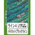 画像1: あわび本舗 アワビシート小型エギ・スッテ専用：ライン4 パイロットブラックライン【ネコポス配送可】 (1)