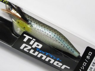 ティップランナー3.5号 3個セット クレイジーオーシャン ティップランナー 3.5号：＃03 パープル