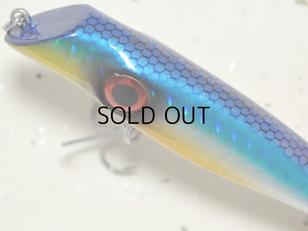 画像2: 邪道 スーサン：＃15 ウルメイワシ【ネコポス配送可】 (2)