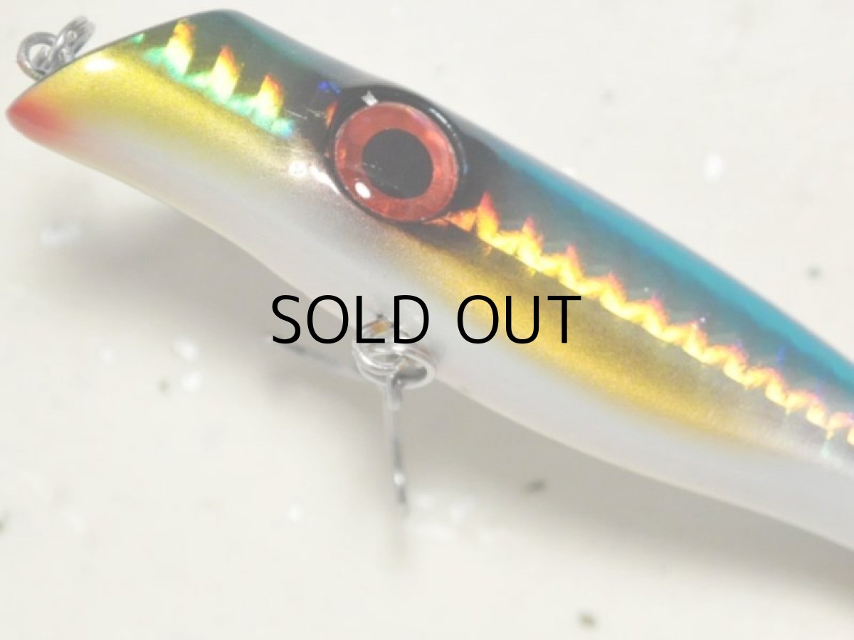 画像3: 邪道 スーサン：＃15 ウルメイワシ【ネコポス配送可】 (3)