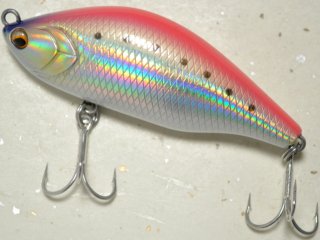 ノースクラフト BMC120F：BIW ブルーホロイワシ□ネコポス対象外□の