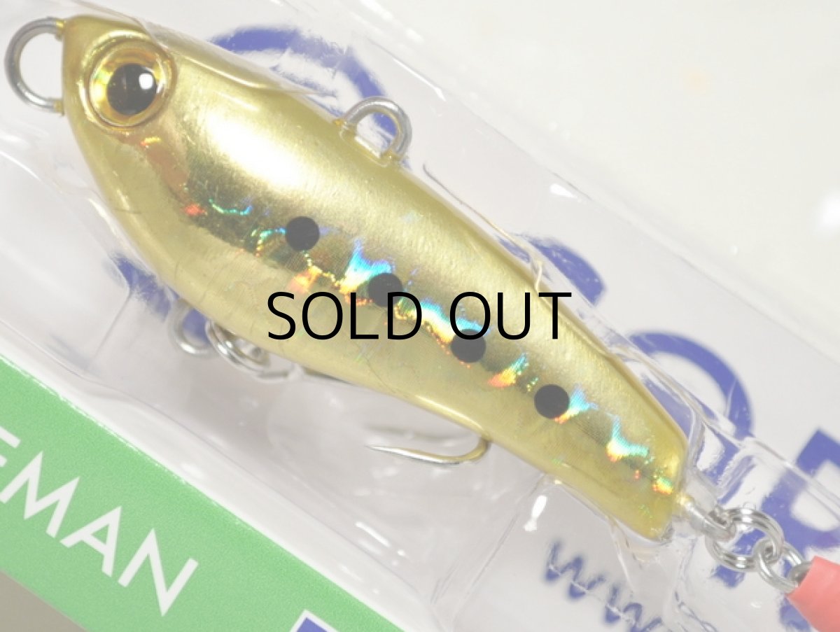 画像2: コアマン PB-24 パワーブレードレアメタル：＃028 シラスイワシゴールド（ホロGB）【ネコポス配送可】 (2)