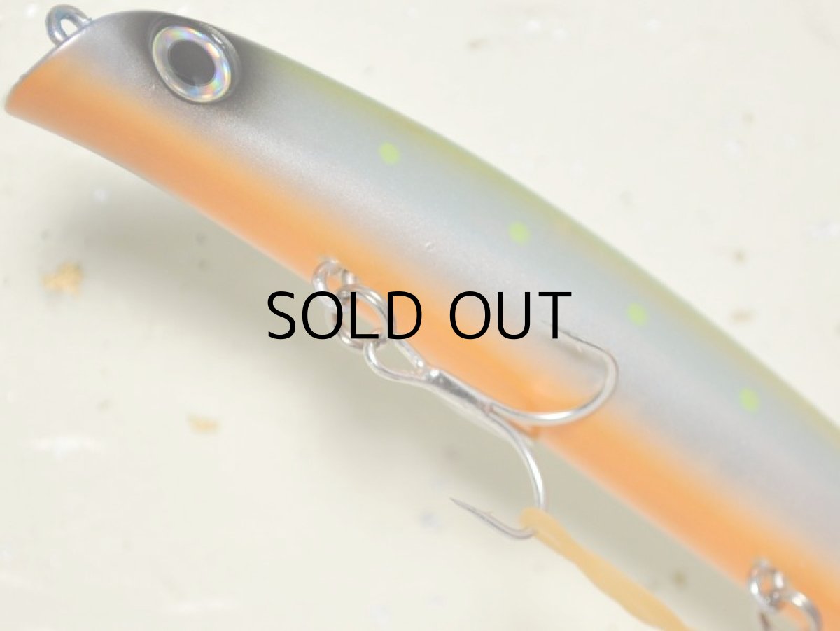 画像3: スカジットデザインズ ハイドシャロー ロングキャスター：ON-オヌマンイワシ（パールゴースト）■ネコポス対象外■ (3)