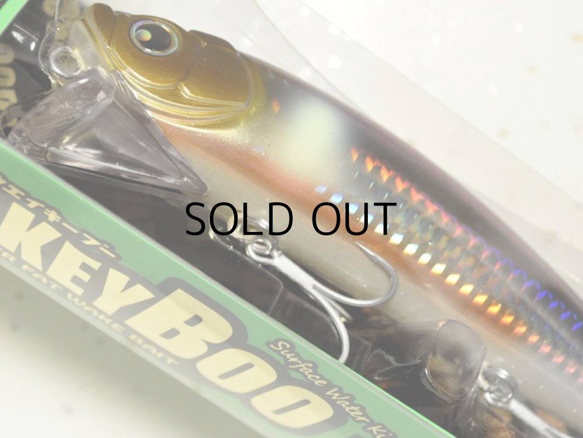 画像3: ロンジン ウェイキーブー137：落ち鮎グローベリー銀粉ラメ■ネコポス対象外■ (3)