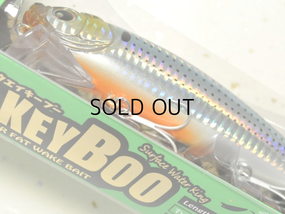 画像3: ロンジン ウェイキーブー137：コノシロ■ネコポス対象外■ (3)