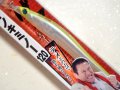 ダミキジャパン イノキミノー120：＃10 チャートボンバイエ■ネコポス対象外■