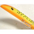 画像3: ハルシオンシステム チキチータBaby SP：MT-RHTIG マット・レッドホットタイガー■ネコポス対象外■ (3)
