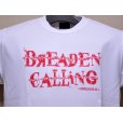 画像3: 【SALE】 ブリーデン クールプラスTシャツ（Calling）01 ホワイト：L（半袖）■ネコポス対象外■ (3)