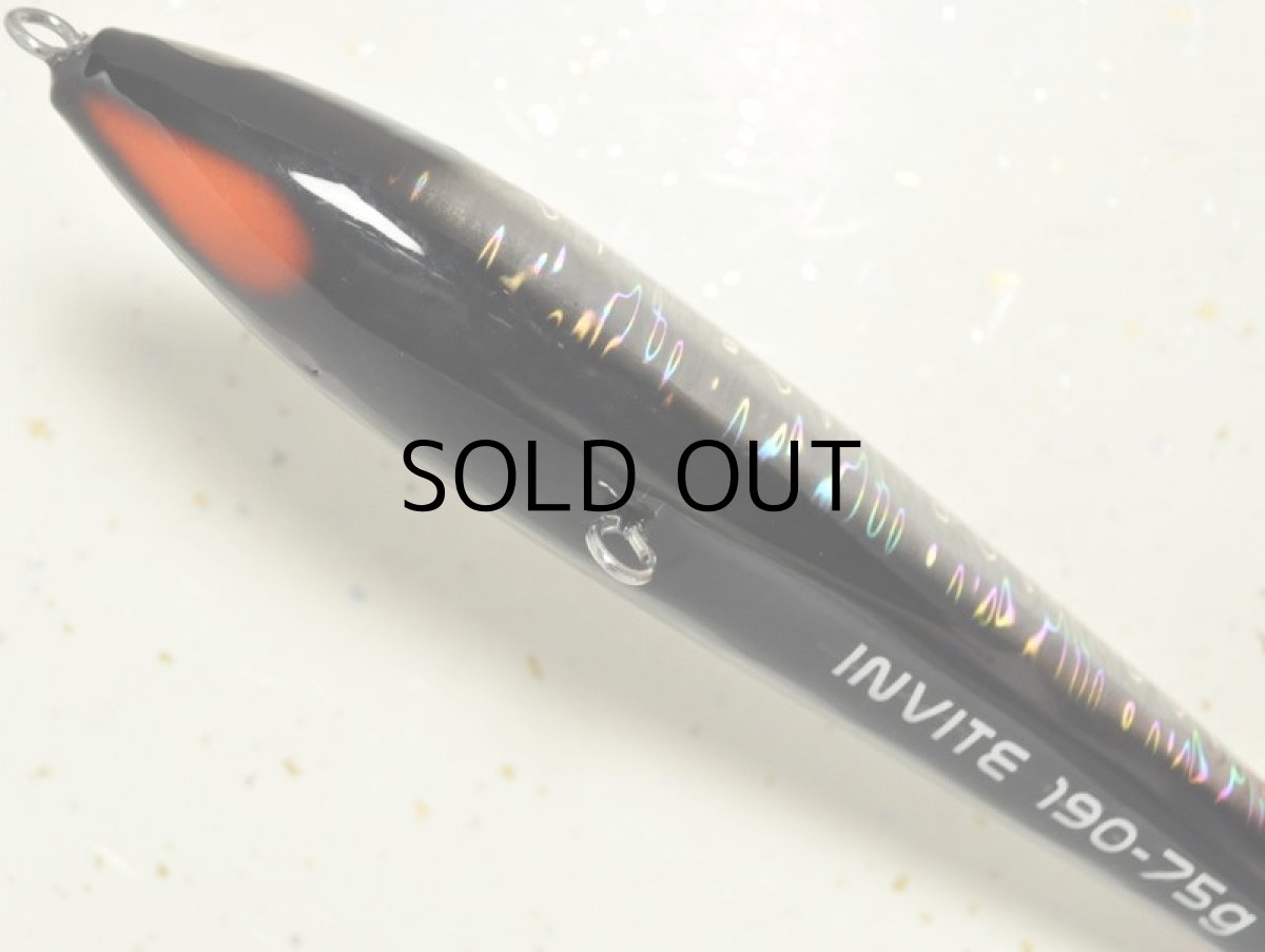 画像3: ソルトウォーターボーイズ インバイトM 75g:ブラック■ネコポス対象外■ (3)