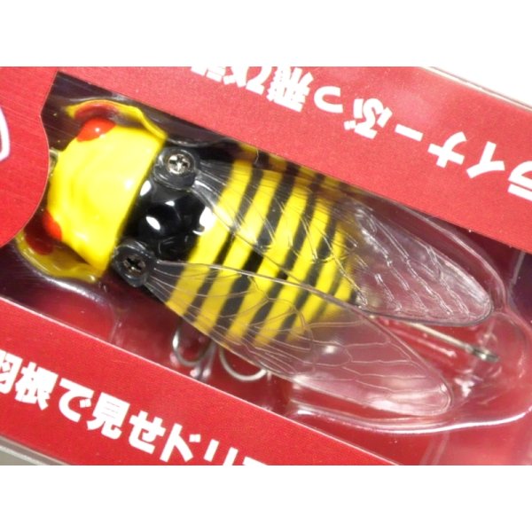 画像1: フィッシュマン Fishman シケイダーマン：ヤンバチ【ネコポス配送可】