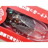フィッシュマン Fishman シケイダーマン：モングリ【ネコポス配送可】