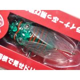 フィッシュマン Fishman シケイダーマン：ヨモギダ【ネコポス配送可】