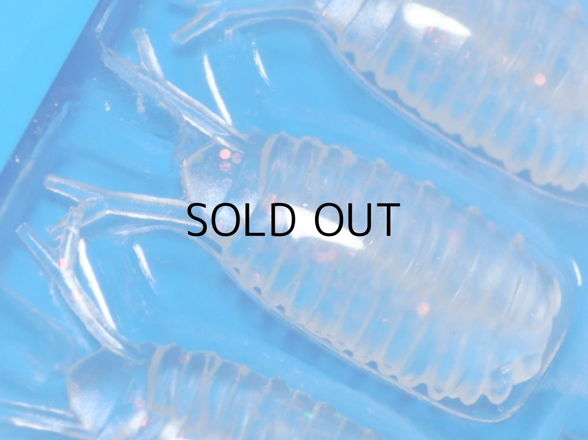 画像2: ブリーデン 13-Roach(ビーローチ):01 オーロラサイダー【ネコポス配送可】 (2)