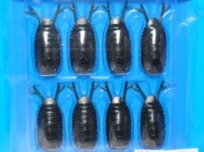 画像1: ブリーデン 13-Roach（ビーローチ）：12 XTグリーン【ネコポス配送可】 (1)
