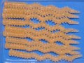 ブリーデン バチ60mm：18 ドットグローオレンジ【ネコポス配送可】