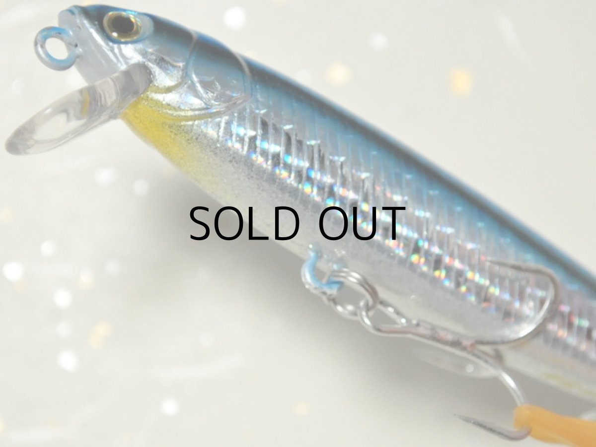 画像3: アーガス アラジン90S：＃14 セグロイワシ【ネコポス配送可】 (3)