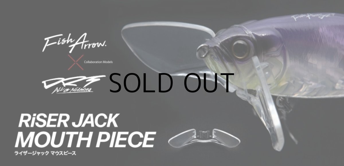 画像2: フィッシュアロー×DRT ライザージャック マウスピース■ネコポス対象外■ (2)