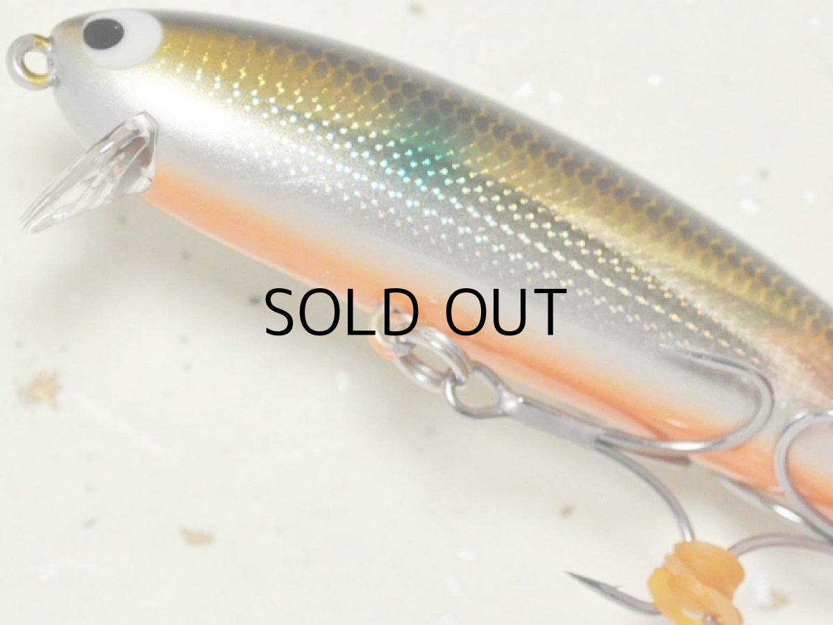 画像3: ポジドライブガレージ スパンクウォーカー90F:#04 沼ボラ【ネコポス配送可】 (3)