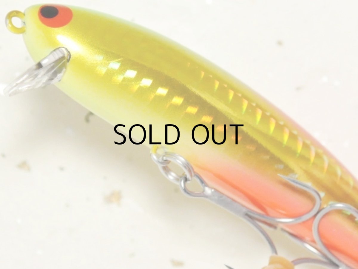 画像3: ポジドライブガレージ スパンクウォーカー90F:#10 ゴールデンアマゾン【ネコポス配送可】 (3)