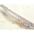 画像3: ポジドライブガレージ スウィングウォブラー125S：＃09 ケイムラシラス（初回限定生産品）【ネコポス配送可】 (3)