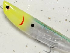 画像2: 【SALE】ポジドライブガレージ DKシードッグ160：＃05 CHモヒート■ネコポス対象外■ (2)
