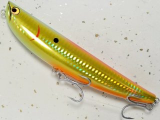 dkseadog160-06.jpg