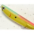 画像2: 【SALE】ポジドライブガレージ DKシードッグ160：＃07 ゴールデンアマゾン■ネコポス対象外■ (2)