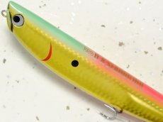 画像2: 【SALE】ポジドライブガレージ DKシードッグ160：＃07 ゴールデンアマゾン■ネコポス対象外■ (2)