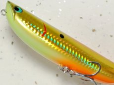 画像3: 【SALE】ポジドライブガレージ DKシードッグ160：＃07 ゴールデンアマゾン■ネコポス対象外■ (3)