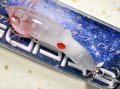インクスレーベル スープラ65PD：ヒノマル【ネコポス配送可】