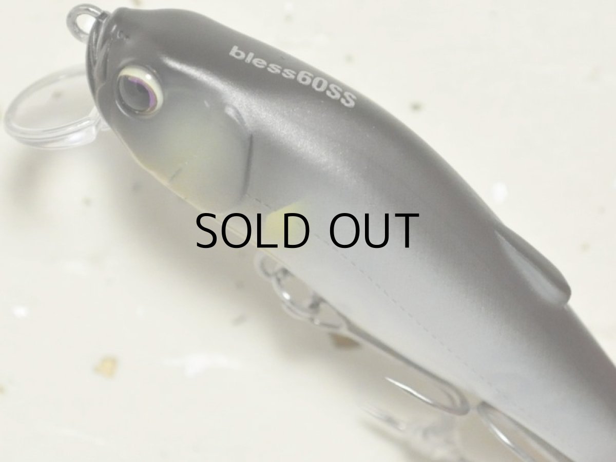 画像2: ヒフミクリエイティング ブレス60SS:#09 マットアユ【ネコポス配送可】 (2)