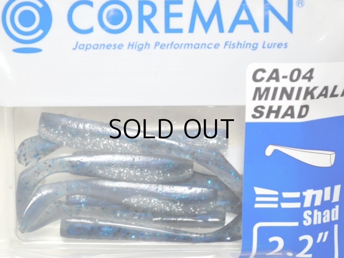画像1: コアマン CA-04 ミニカリシャッド：＃002 マイワシ【ネコポス配送可】 (1)