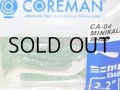 コアマン CA-04 ミニカリシャッド：＃003 沖堤イワシ【ネコポス配送可】