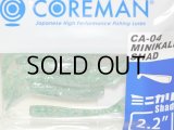 コアマン CA-04 ミニカリシャッド：＃003 沖堤イワシ【ネコポス配送可】