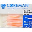 画像1: コアマン CA-04 ミニカリシャッド：＃010 ナイトSP【ネコポス配送可】 (1)
