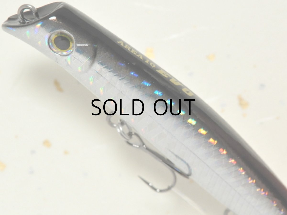 画像2: ガイア エリア10EVO：＃05 セグロ【ネコポス配送可】 (2)